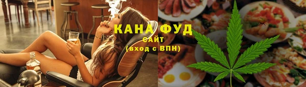 spice Алзамай