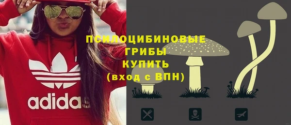 apvp Алексеевка