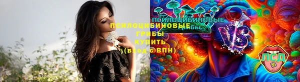 spice Алзамай